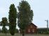 Sommerb�ume und -b�sche im EEP-Shop kaufen