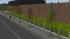 Jungb�ume im Fr�hling und Baumschut im EEP-Shop kaufen