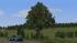 Kirschb�ume und Linden (mittelgro�) im EEP-Shop kaufen
