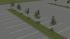 Jung- und Parkplatzb�ume im EEP-Shop kaufen