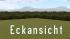 Bergwald Nadelb�ume Sommer - Panora im EEP-Shop kaufen