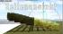 Bergwald Nadelb�ume Sommer - Panora im EEP-Shop kaufen