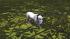 Hunde-Set - Bull Terrier im EEP-Shop kaufen