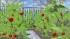 Garten-Set, moderne Gew�chsh�user u im EEP-Shop kaufen