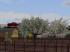 Fr�hlingsvegetation im EEP-Shop kaufen