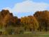 Herbstvegetation bunt im EEP-Shop kaufen