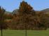 Herbstvegetation Set 2 im EEP-Shop kaufen