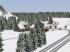 Winterliche Nadelb�ume im EEP-Shop kaufen