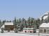 Winterliche Nadelb�ume im EEP-Shop kaufen