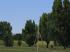 Birnb�ume, Weiden, Linden und B�sch im EEP-Shop kaufen