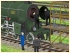 Schnellzuglokomotive S 2/5 der K.Ba im EEP-Shop kaufen