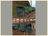 E-Lok-Set SBB Ae 4/7 11010 und 1102 im EEP-Shop kaufen