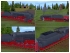 G�terzuglokomotive der DR BR 44 179 im EEP-Shop kaufen