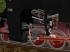 �BB 297 - Das Monster vom steirisch im EEP-Shop kaufen