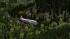 Douglas DC3_SwissAir_RS5 im EEP-Shop kaufen