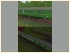 Mod4-Wagen-Set1 der DR im EEP-Shop kaufen