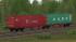 Zweiteiliger Containertragwagen Sgg im EEP-Shop kaufen