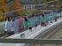 Triebzug S�wex DB Regio im EEP-Shop kaufen