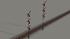 Hauptsignalset (3 fl�gelig) mit Neg im EEP-Shop kaufen
