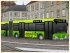 Busse-Set1 im EEP-Shop kaufen