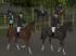 Reitsport Set 1 im EEP-Shop kaufen