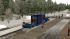 Container Tragwagen, Schmalspur und im EEP-Shop kaufen