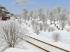 Winterliche Laubb�ume und B�sche im EEP-Shop kaufen