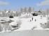 Winterliche Laubb�ume und B�sche im EEP-Shop kaufen