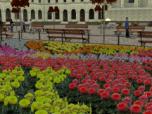 Blumendeko 01 Dahlien und Gera
