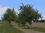 Kirschb�ume und Linden (mittelgro�)