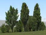 Kombinierte Baum- und Buschrei