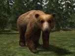 Kinematisch animierte Braunbär