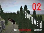 Bergwald Nadel-Hochstamm_Somme