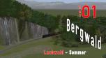 Bergwald Laub Sommer SET 01
