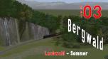 Bergwald Laub Sommer SET 03