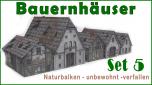Bauernhöfe im nördl. Deutschla