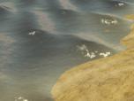 Kinematisch animierte Elemente / Meer-Set 1