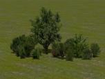 Kombinierte Baum- und Buschgruppen