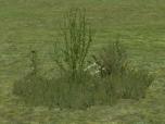 Kombinationen aus Gras, Kraut und B�sche