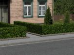 Hecken als Spline und Landscha