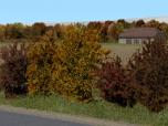 Herbstb�sche