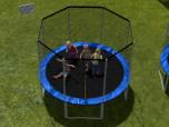 Trampolin mit PhysX & 3*5 spri