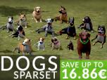 Hunde-Set - Sparset