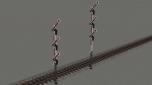 Hauptsignalset (3 fl�gelig) mi