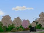 B�ume und Str�ucher
