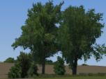 Laubb�ume und -b�sche Set 2