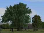 Vegetations-Set Laubb�ume