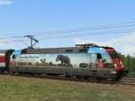 DBAG BR 101 087-5 Werbelok - P