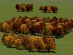 Herbstb�ume als Gruppen und Wa