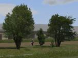 Laubb�ume, Blutbuchen, Blautannen